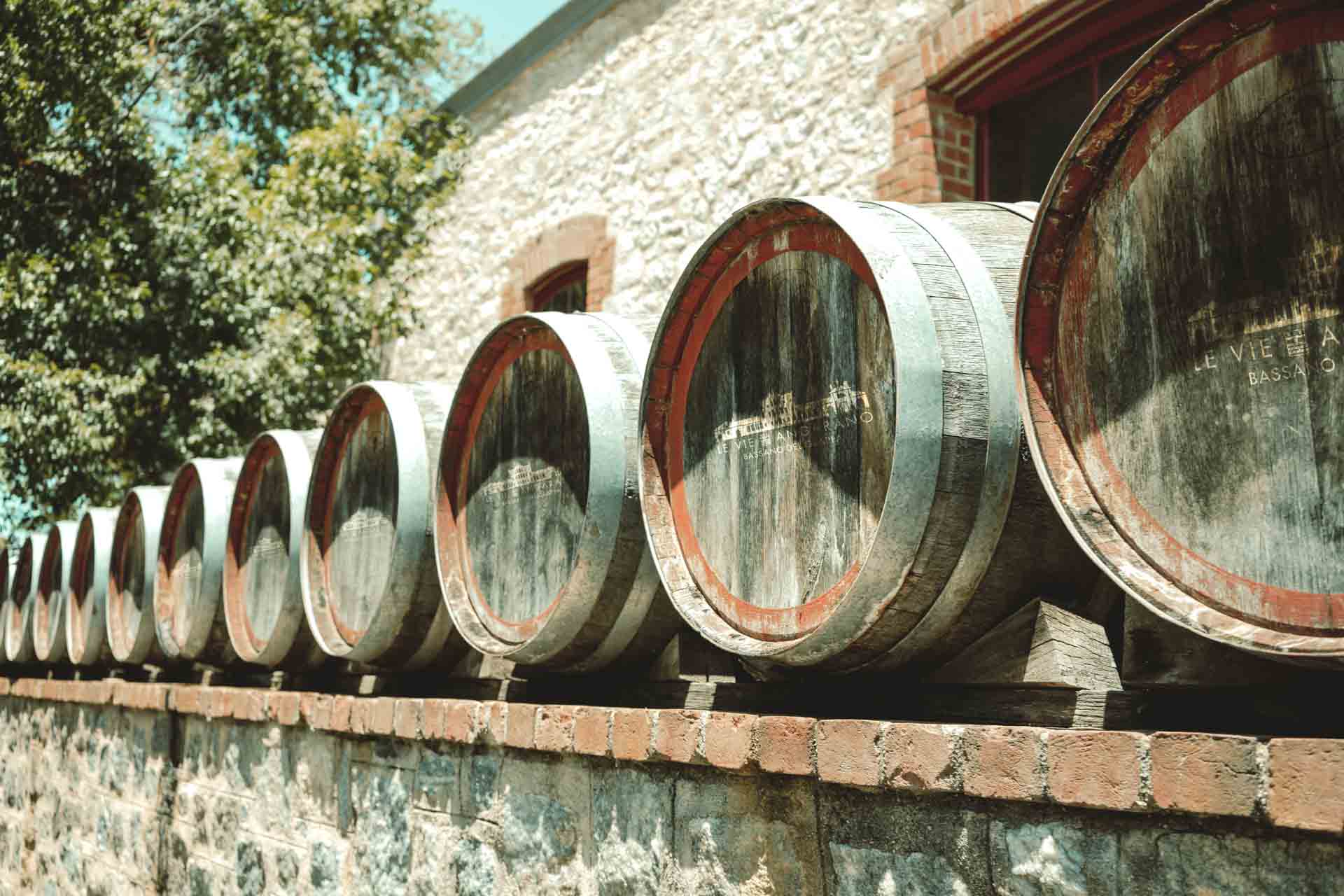 Azienda Vinicola Le Vie Angarano Srl - Societa` Agricola — foto 3